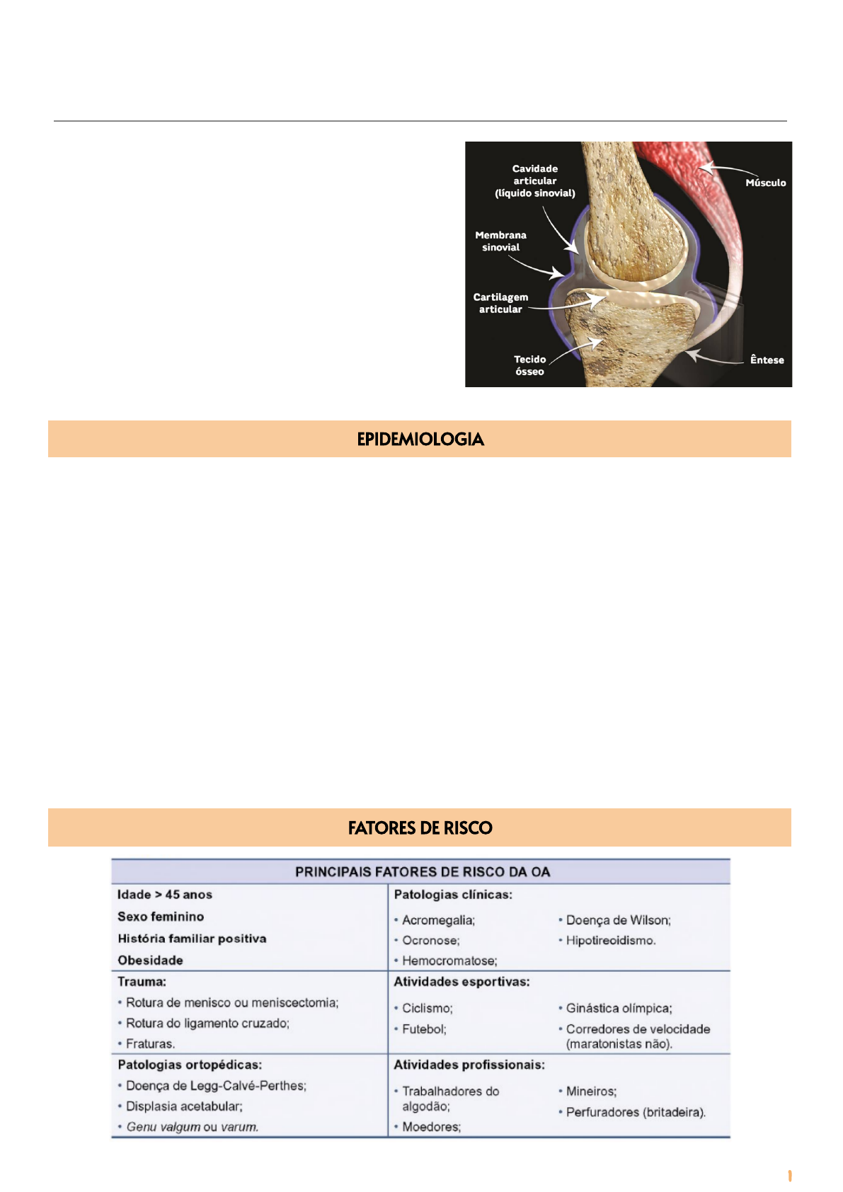 Problemas ósseos E Articulares Em Cães. Osteoartrite Em Cães Imagem de  Stock - Imagem de lombar, agulhas: 233240969, image size:1191x1684