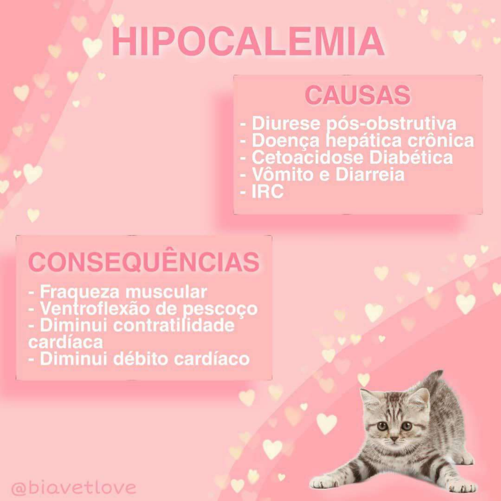 Hipocalemia: Causas e consequências - Fisiologia I