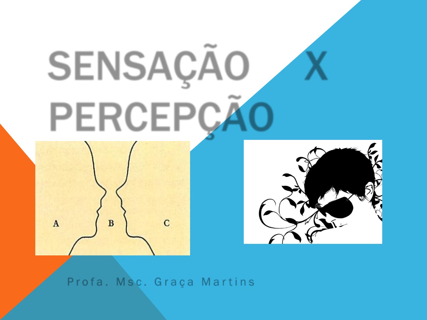 Princípios de psicologia geral (Volume III - Sensação e percepção