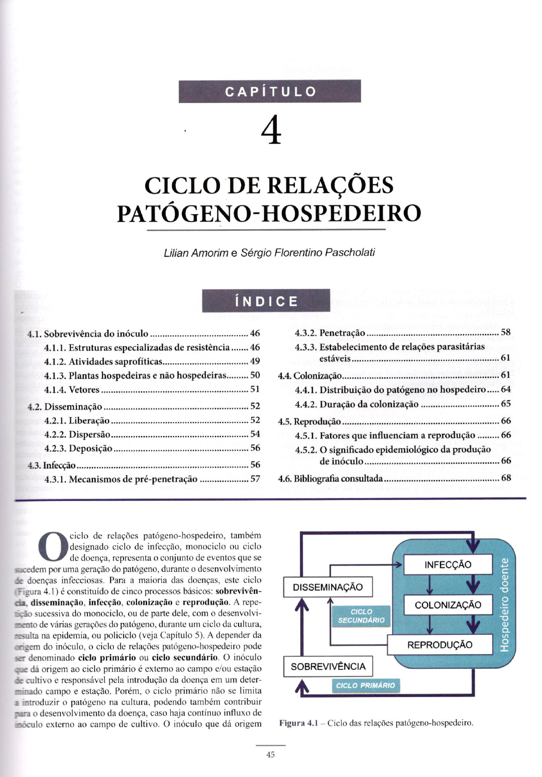 Capítulo 4 Ciclo De Relações Patógeno Hospedeiro Fitopatologia Agrícola 2150