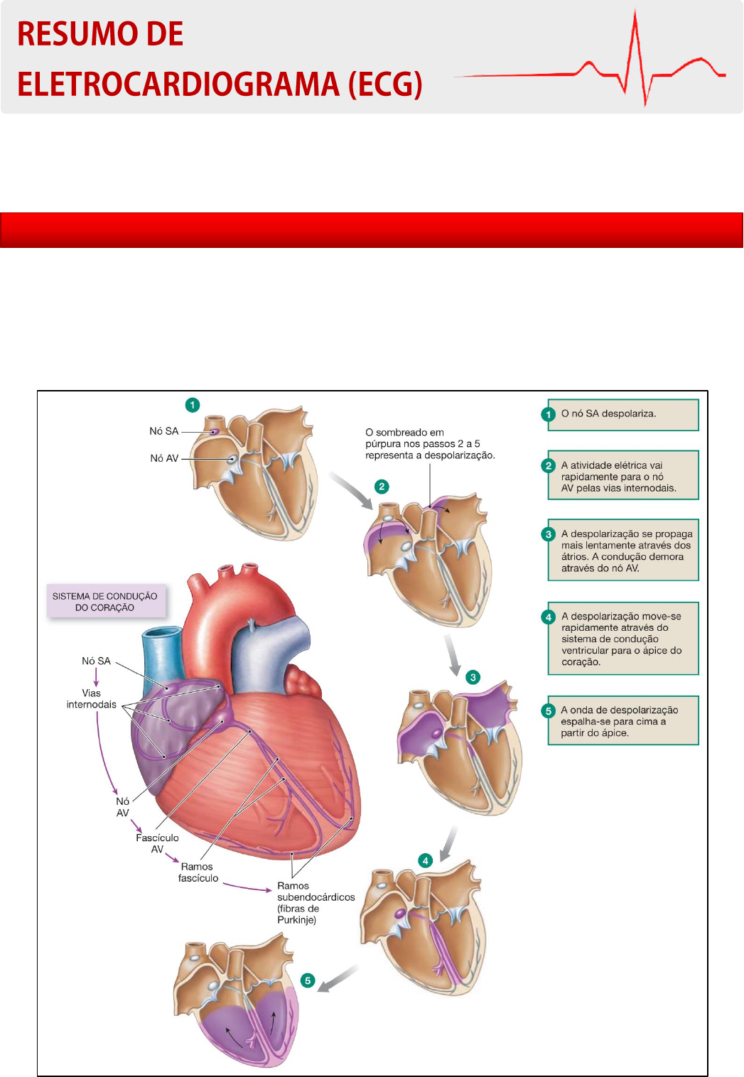 Infarto do Miocárdio visto pelo Cardiograma Vetorial e Espaço de