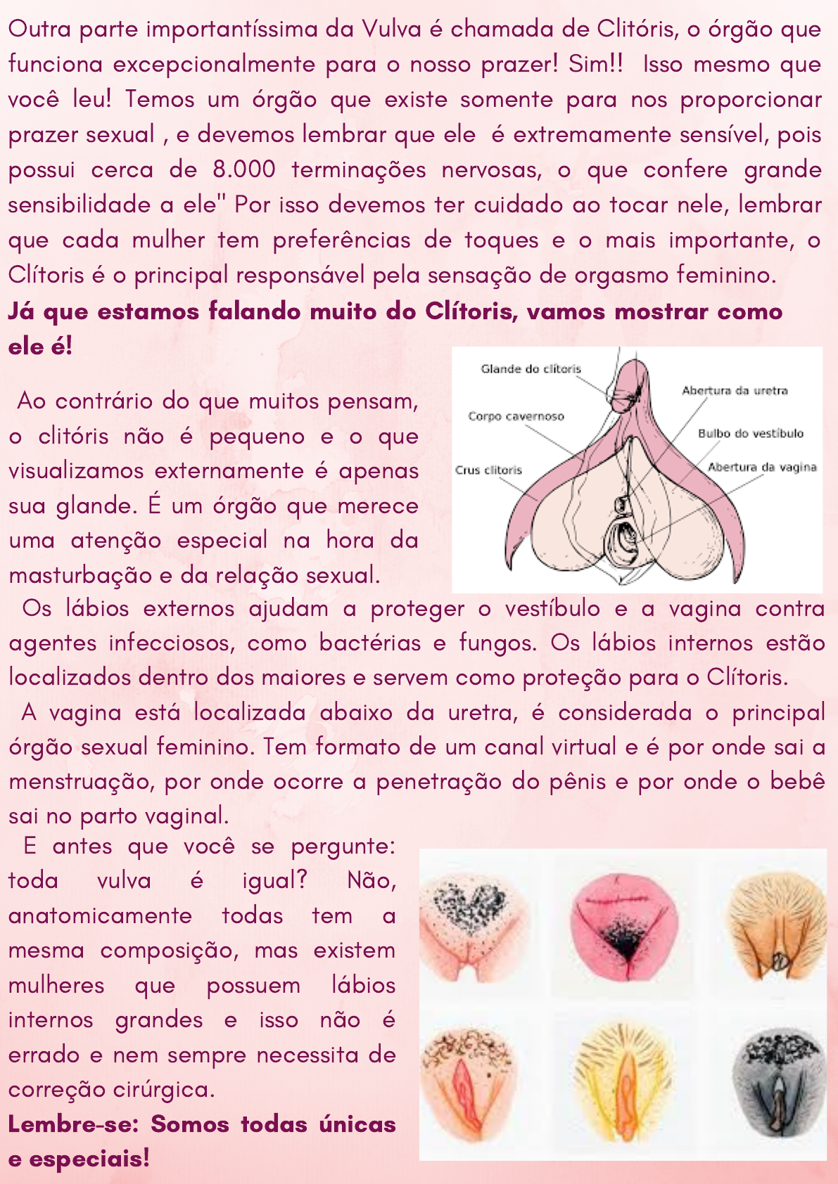 Cartilha do autoconhecimento feminino - Fisioterapia Uroginecofuncional