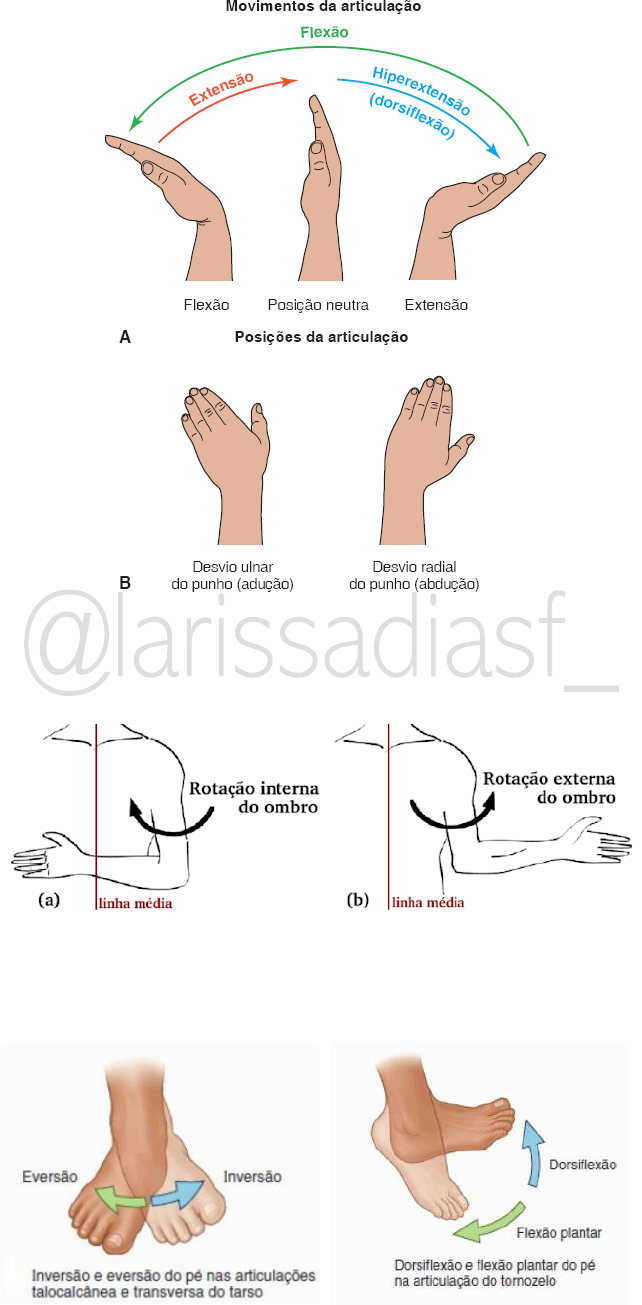 Movimentos Articulares Ilustrado - Cinesioterapia