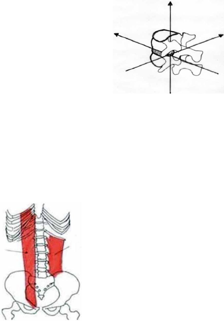 Biomecánica de la columna lumbar: un enfoque clínico