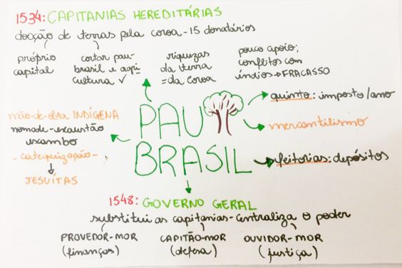 Pau Brasil - Mapa mental resumo - História