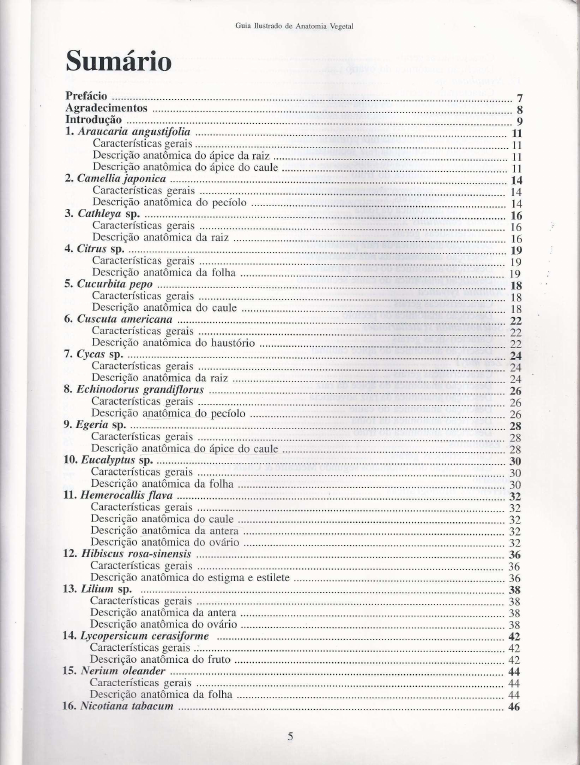 Guia Ilustrado De Anatomia Vegetal Mona Boeger And Santos Anatomia Vegetal 5117