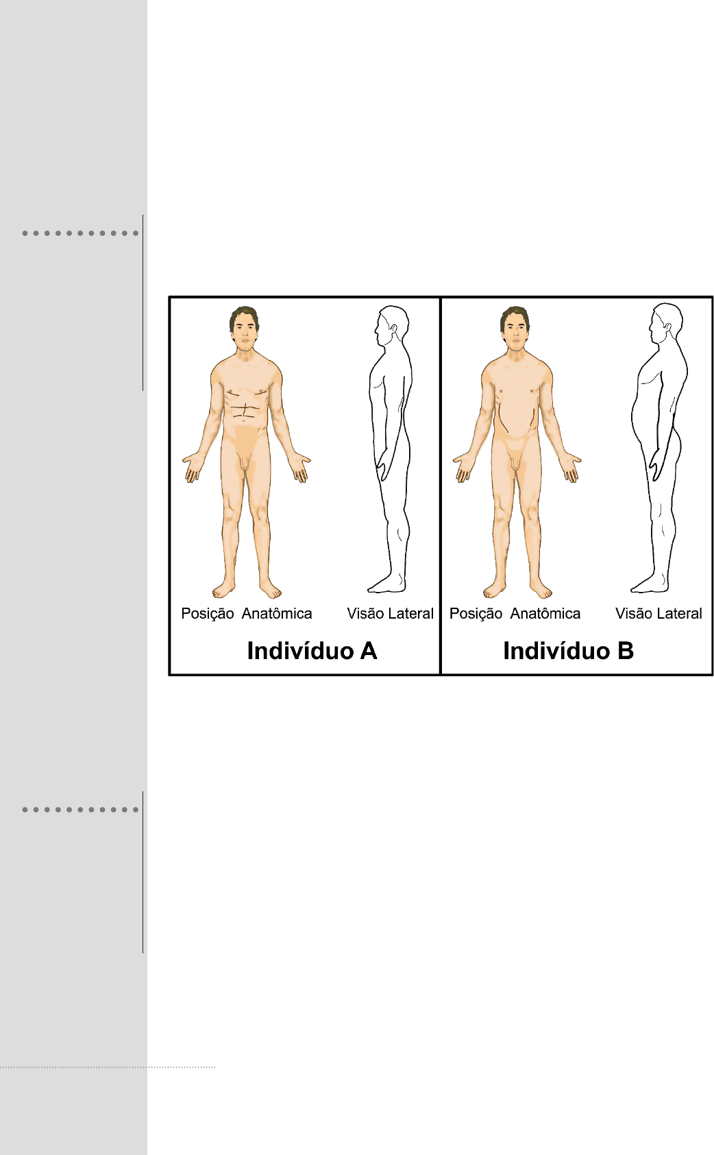 Raio-X corpo feminino masculino humano. Conceito de anatomia