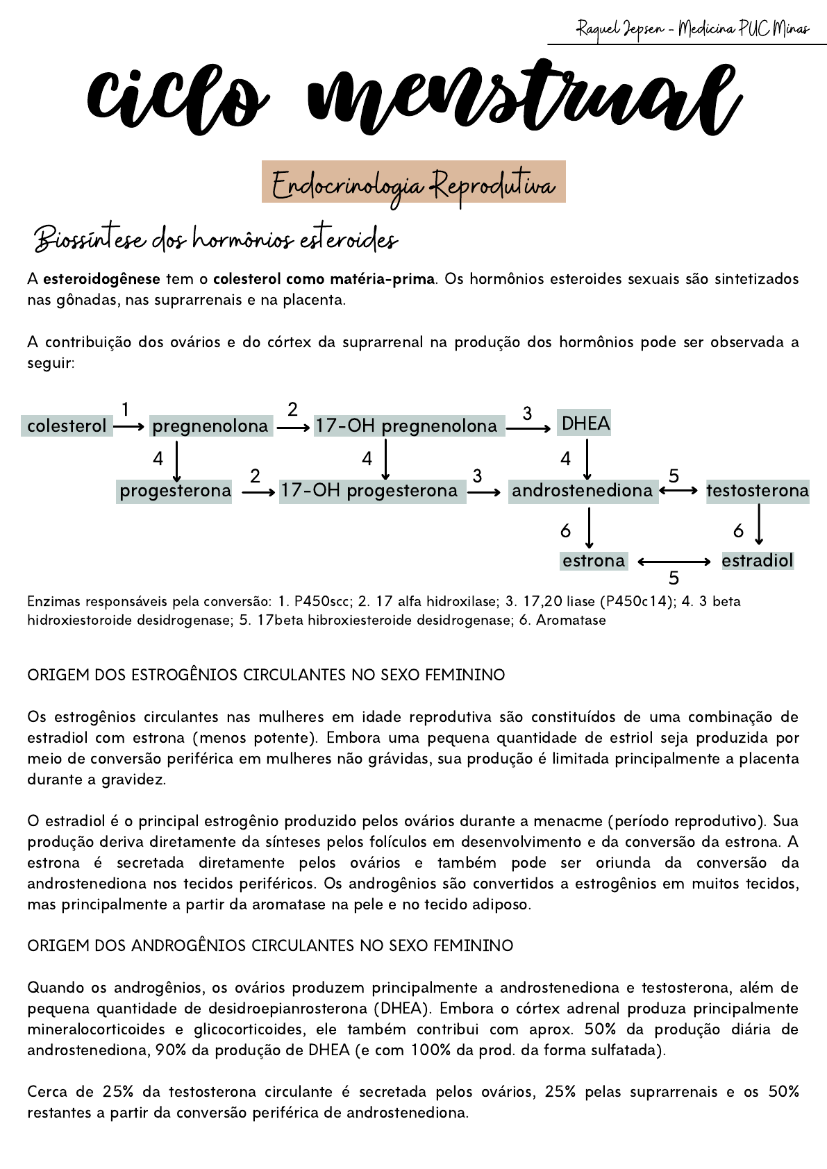 Ciclo menstrual e suas fases - Toda Matéria