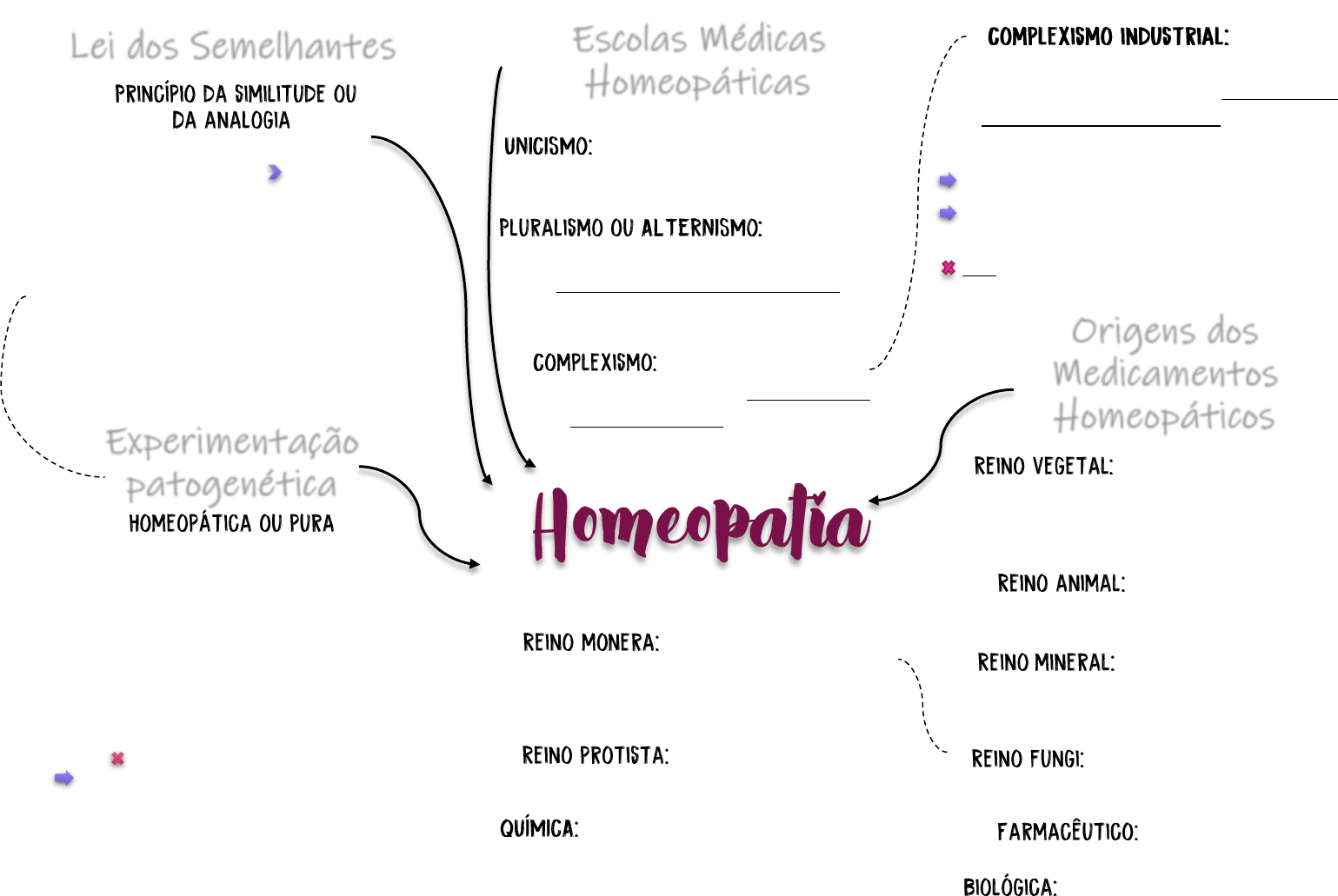 Arriba 71+ imagen homeopatia mapa mental