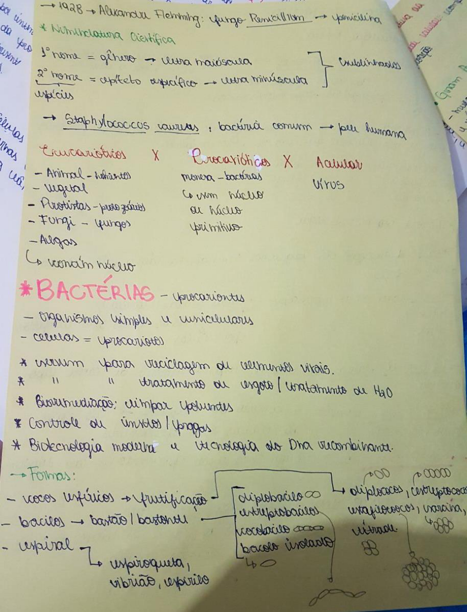 Resumo Microbiologia - Microbiologia Odontologica