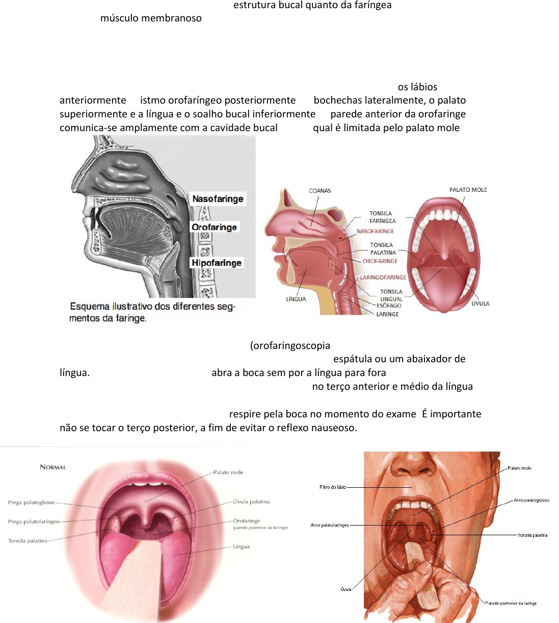 Fotos de Orofaringoscopia