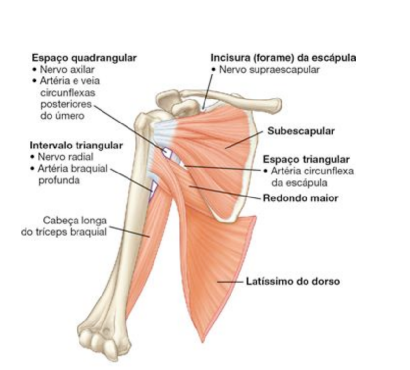 intervalo triangular