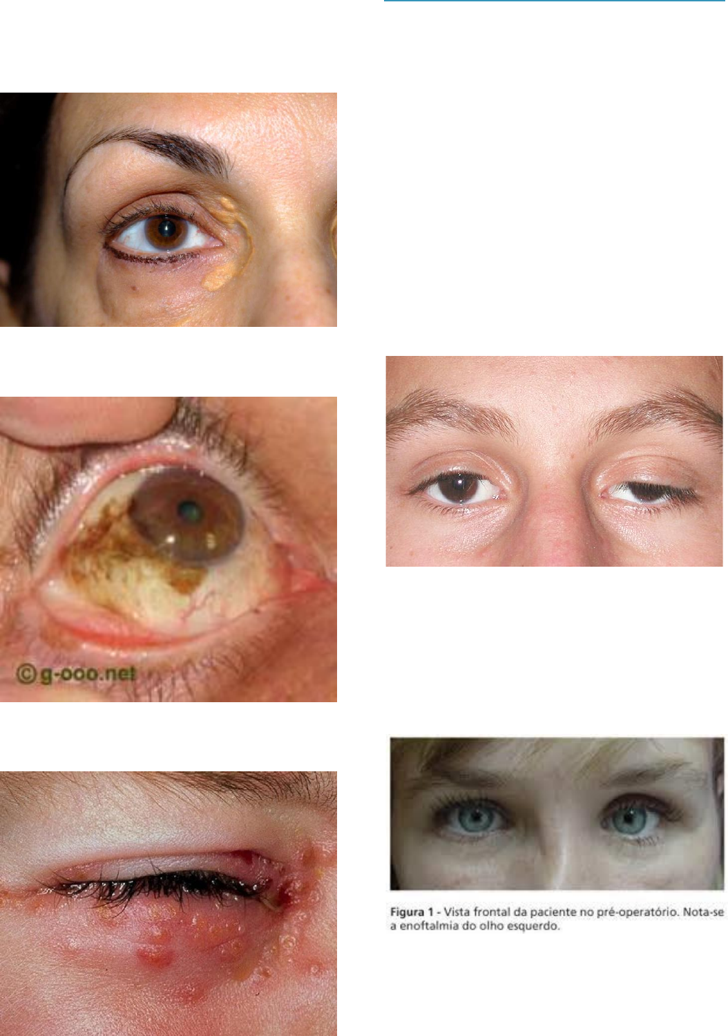 Neurogenética | Ingrid Gomes (@neurogeneticabr) • Instagram photos and  videos, image size:1054x1499