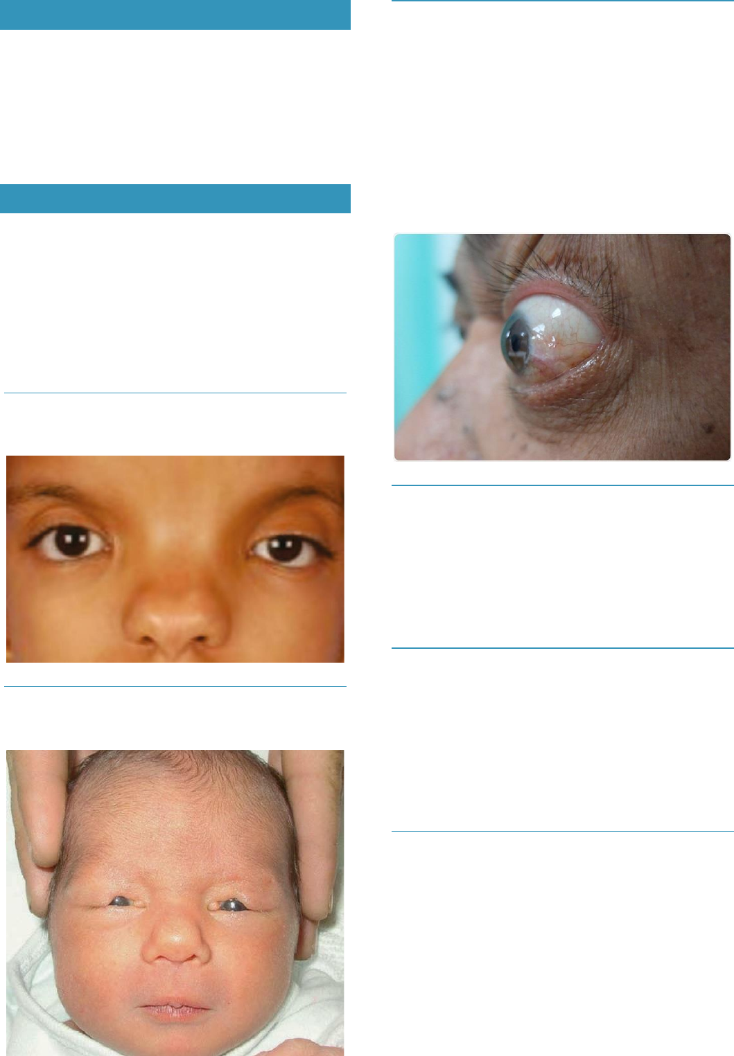 Sociedade - 📢 Confirmada no CBGM 2025: Dra. Judy Garber! Referência  mundial em oncogenética, a Dra. Judy Garber é Diretora do Centro de  Prevenção do Câncer no Dana-Farber Cancer Institute, em Boston,, image size:1059x1525