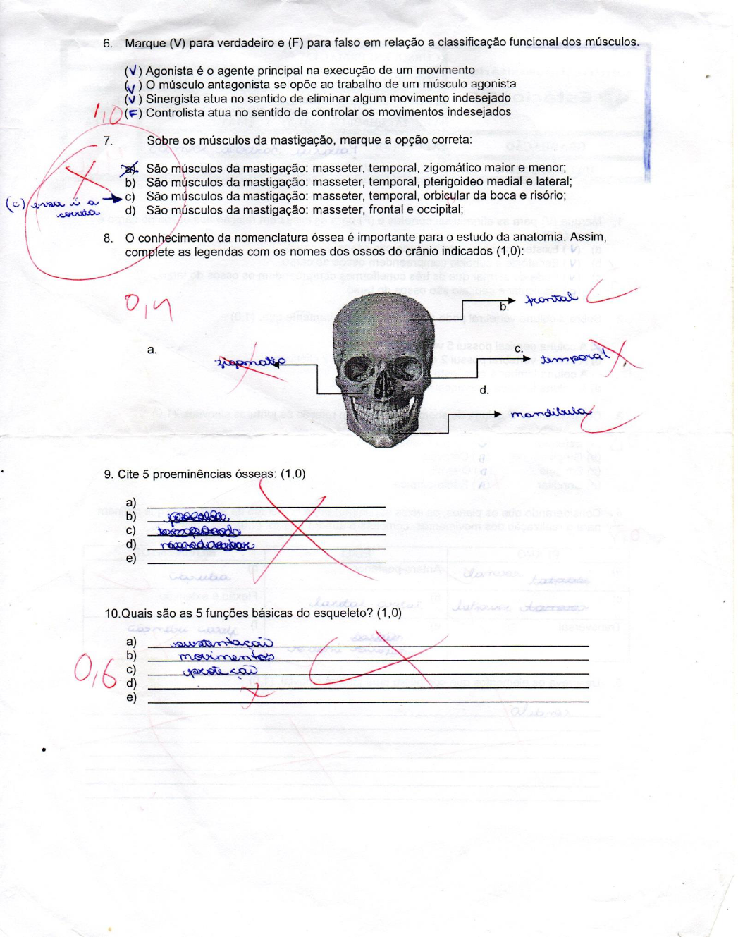 AV1 Anatomia sistemica - Anatomia Sistêmica