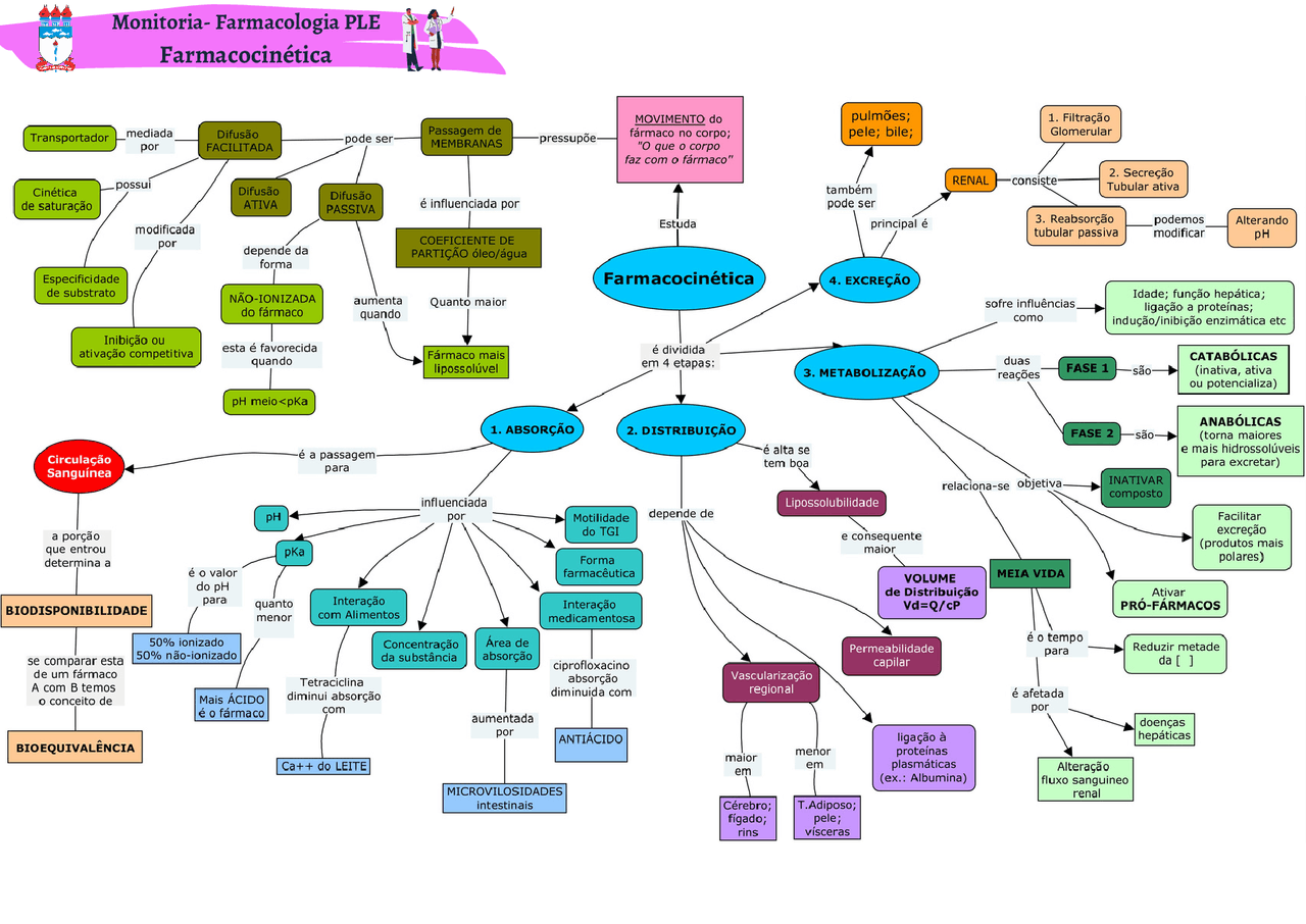Mapa mental farmacologia 1 - Farmacologia I