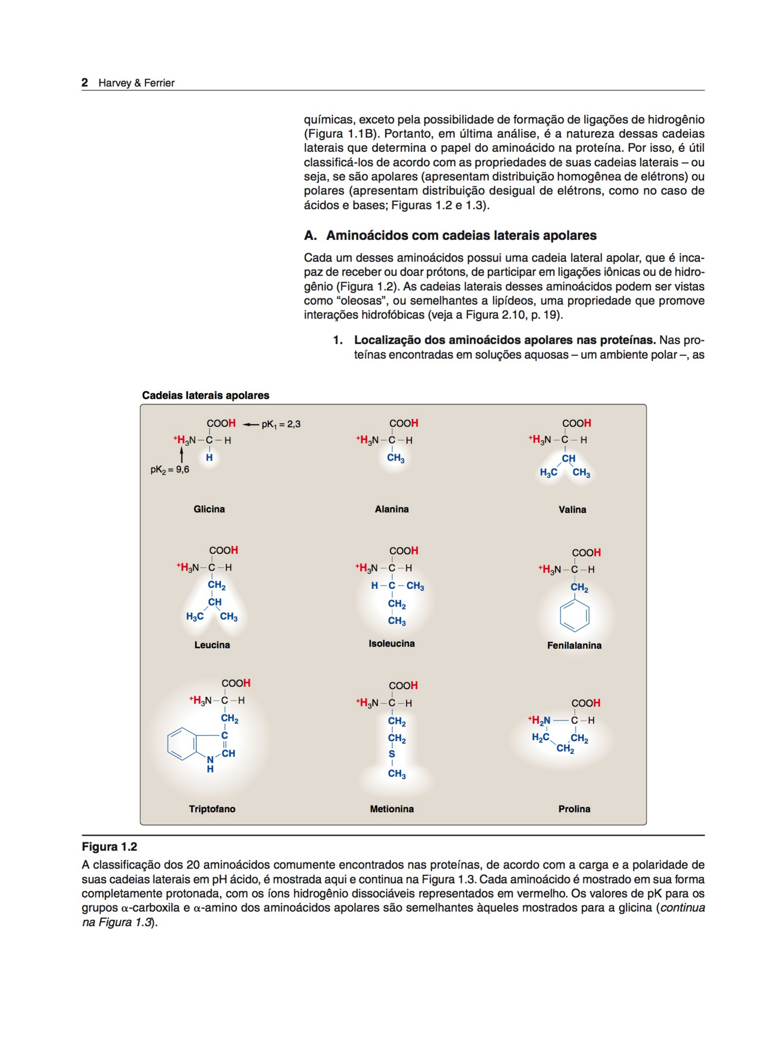 Grátis: Estrutura e Função das Proteínas - Material Claro e Objetivo em PDF  para Estudo Rápido, image size:3200x4266