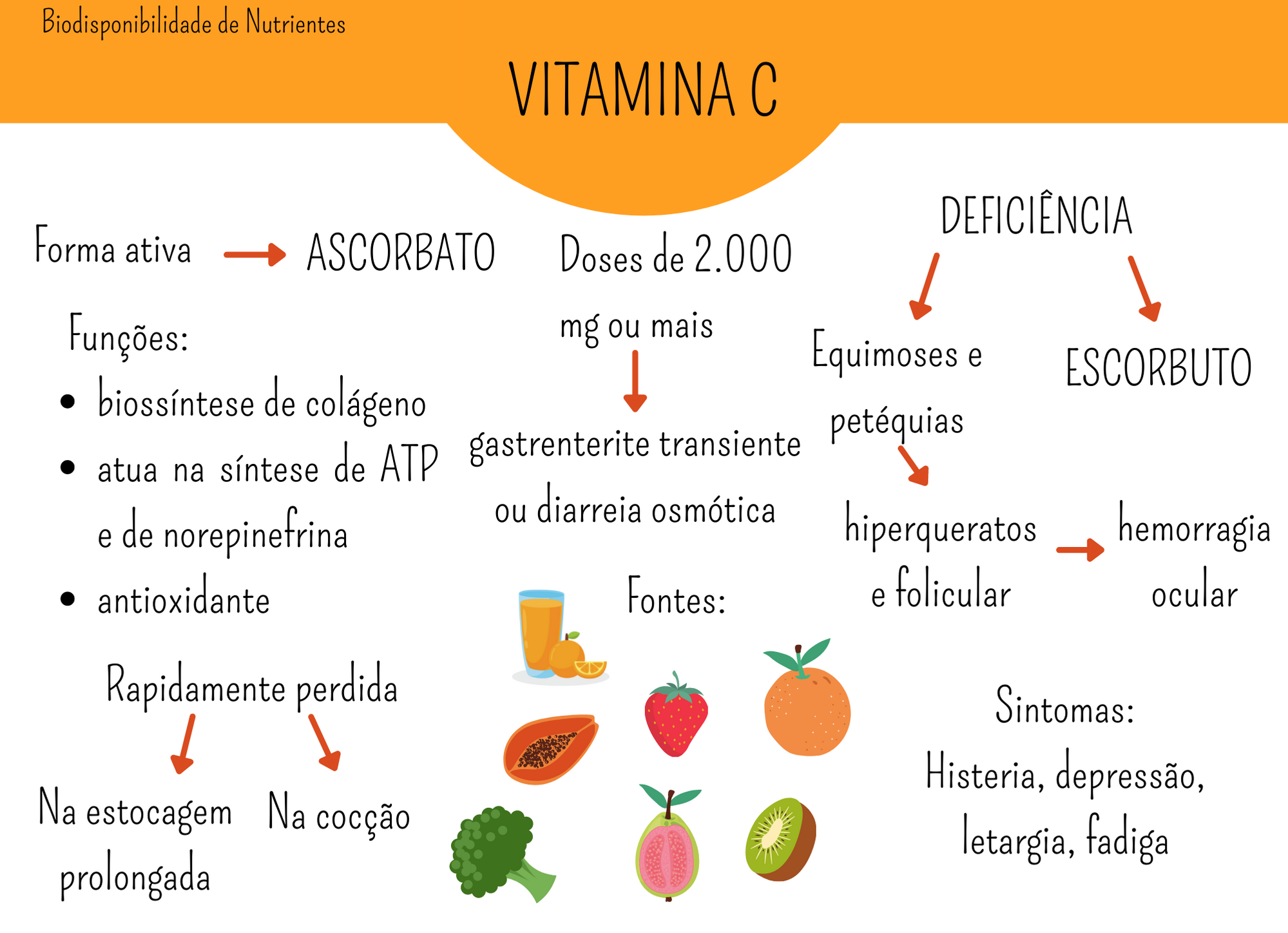 Mapa Mental Sobre Vitamina Edulearn 4580