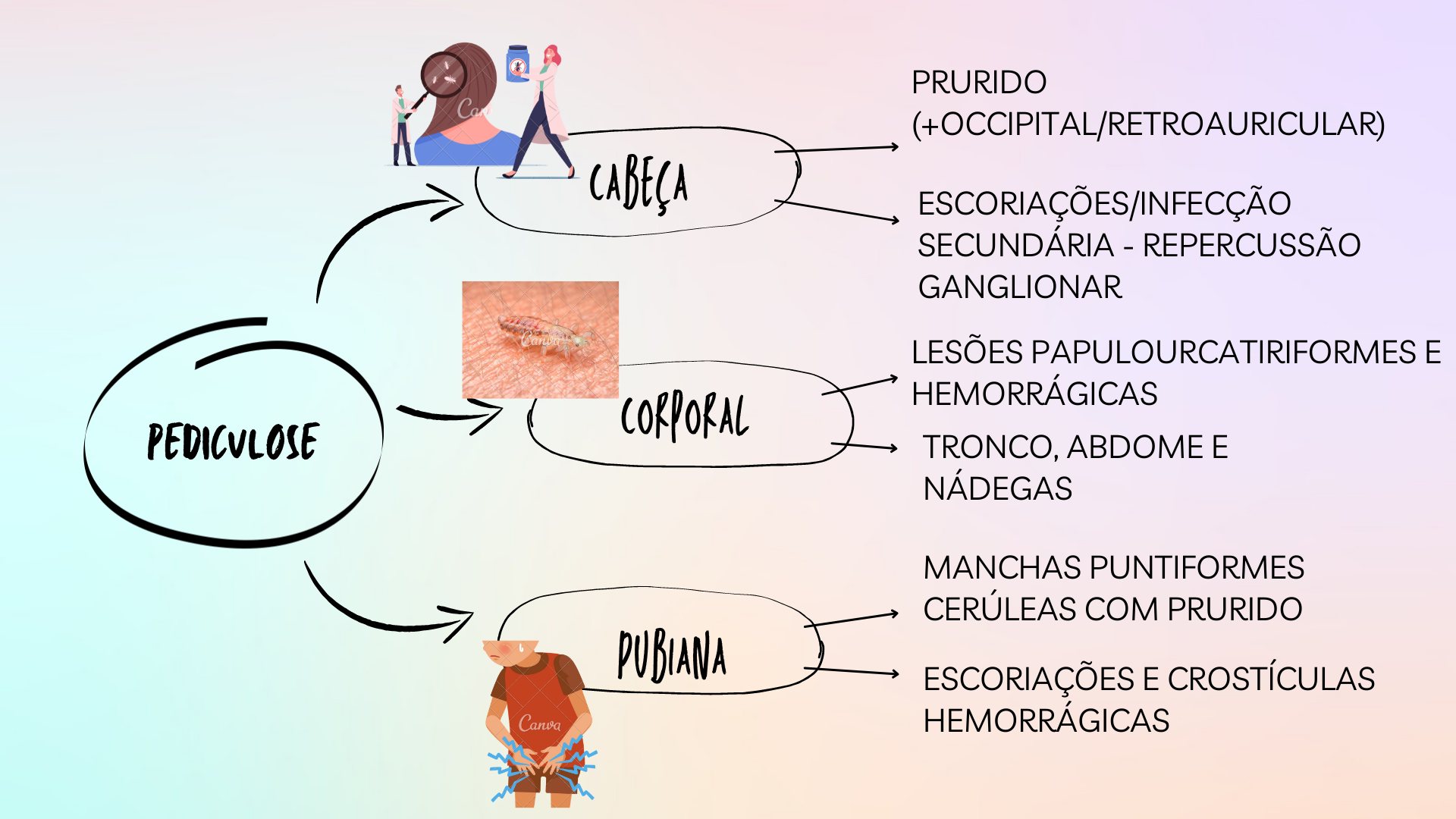 Tipos De Pediculose Dermatologia