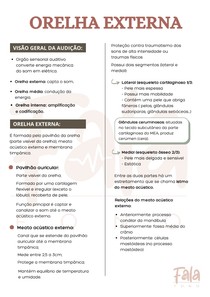 Orelha externa