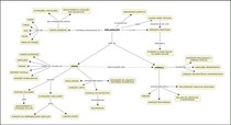 Inflamação (Mapa Conceitual)