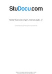 tabela-musculos-origeminsercaoacao