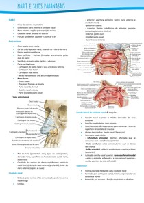Resumo - Anatomia - Nariz e Seios Paranasais