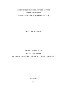 Relatório de Estágio Pedagogia Hopitalar