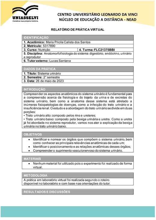 Relatório Sistema urinário