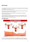 Menstruação