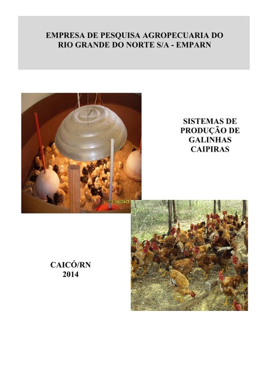 Avicultura-Sistema-de-producao-de-galinhas-caipiras