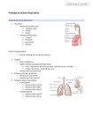 Fisiologia do Sistema Respiratório (parte 1)