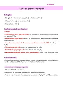 Equinácea (Echiacea purpúrea)