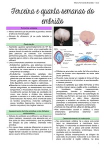 Terceira e quarta semanas do embrião