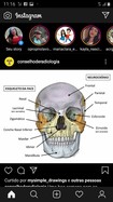 Anatomia do crânio humano