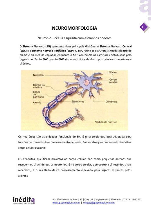 APOSTILA-NPT-video-aulas
