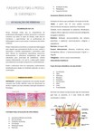 Avaliação e Cicatrização de Feridas na Enfermagem
