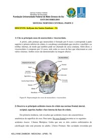 Sistema Nervoso Central e Periférico - Estudo dirigido (PARTE 2)