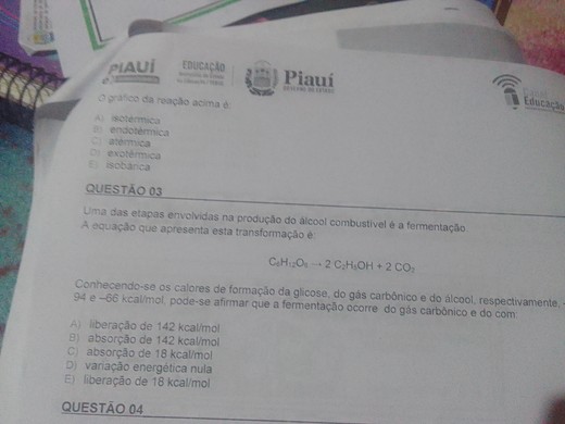 caneta