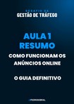 Gestão de Tráfego: Aula 1