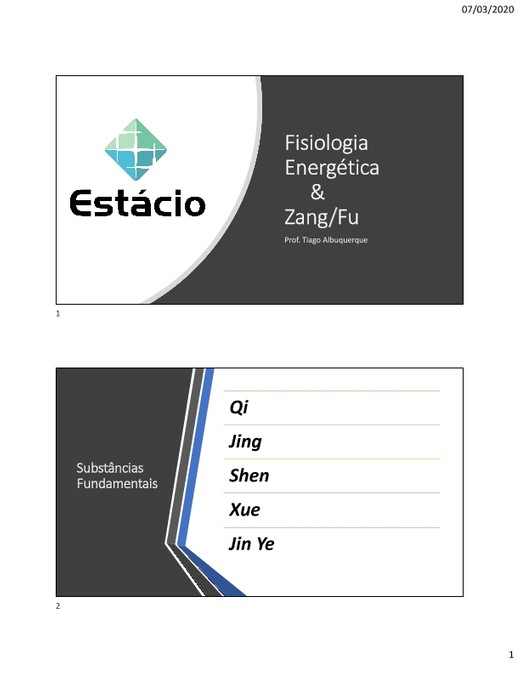 Aula 02 - Fisiologia energética e Zang FU