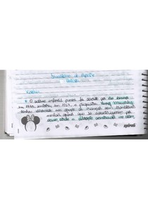 Espectro Autista