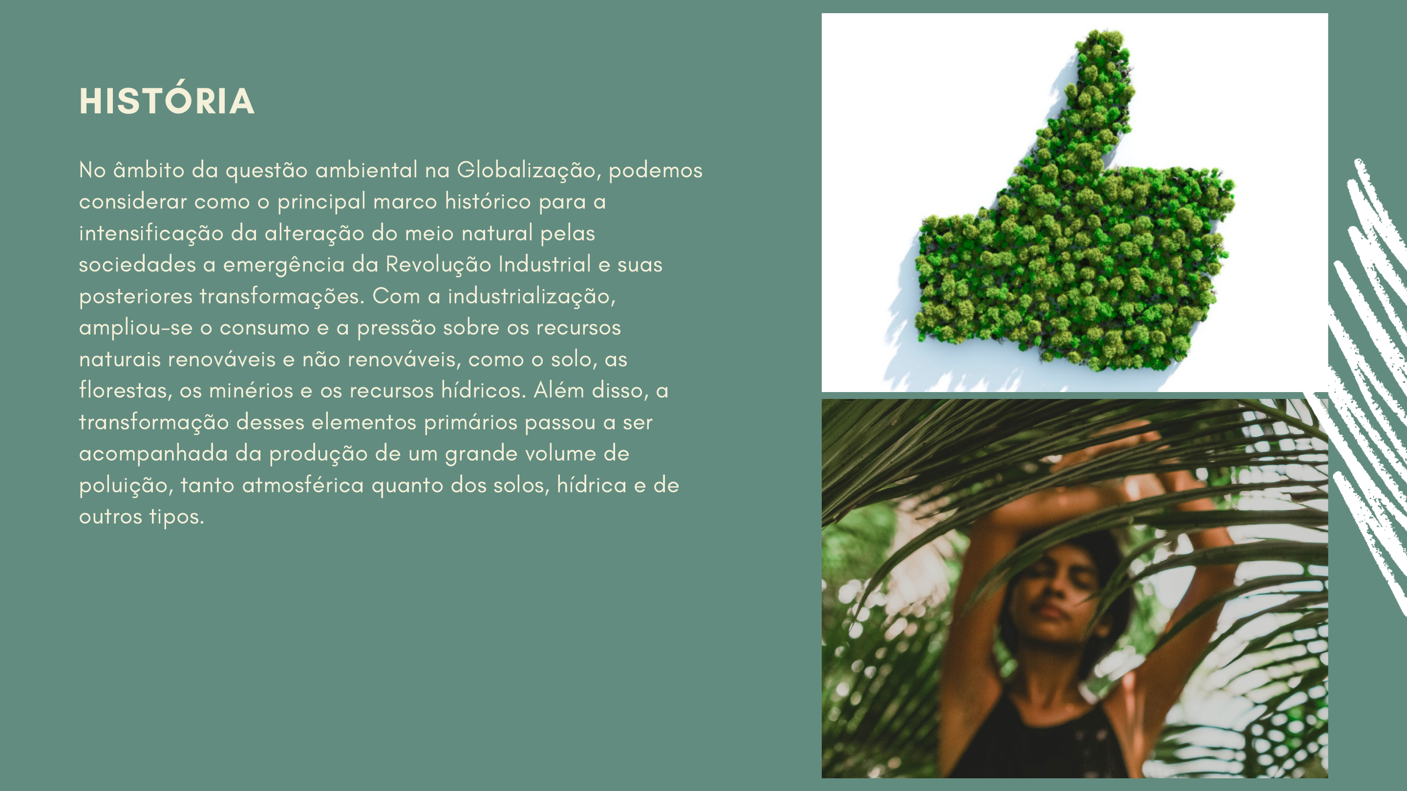 Eixo temático Meio Ambiente na redação do ENEM - Redação