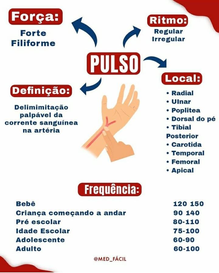 Locais Para Aferição De Pulso - Anatomia I