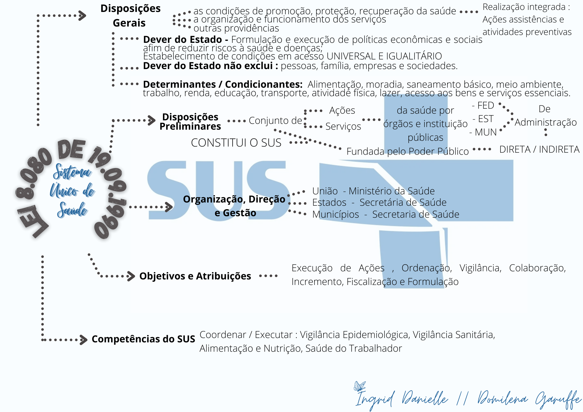 Mapa Mental Lei 8.08090 - Saúde Pública