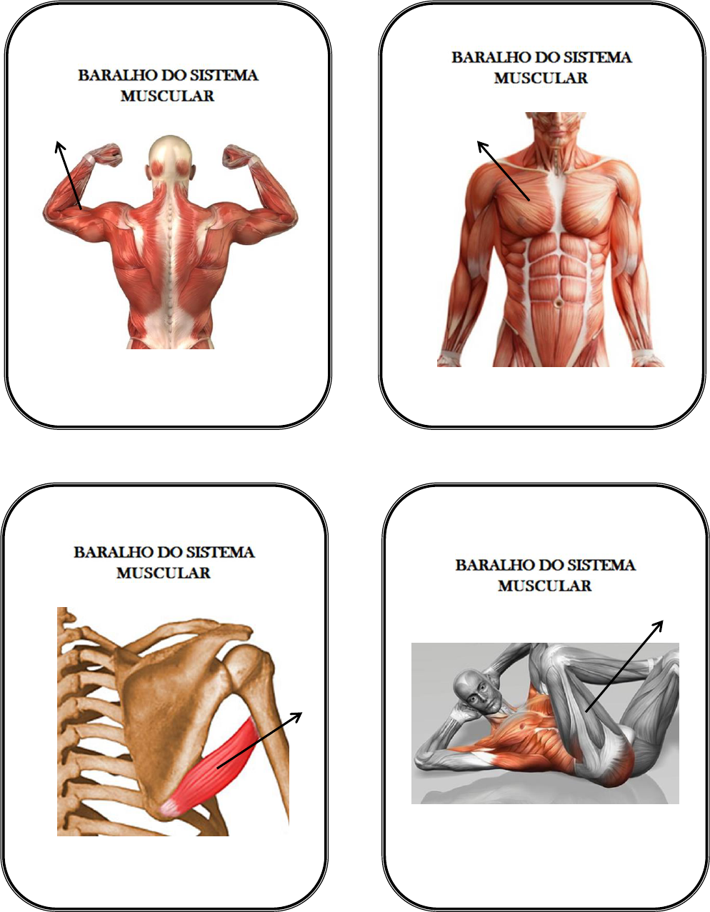 Baralho Músculos masculinos da anatomia humana por Leonard