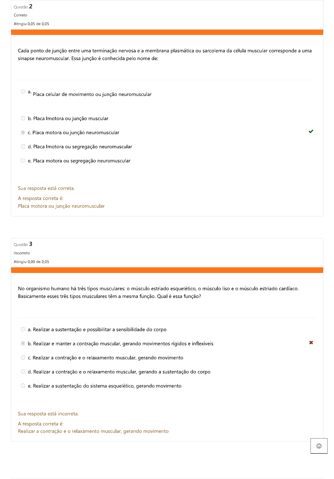 Atividade Anatomia - Anatomia I