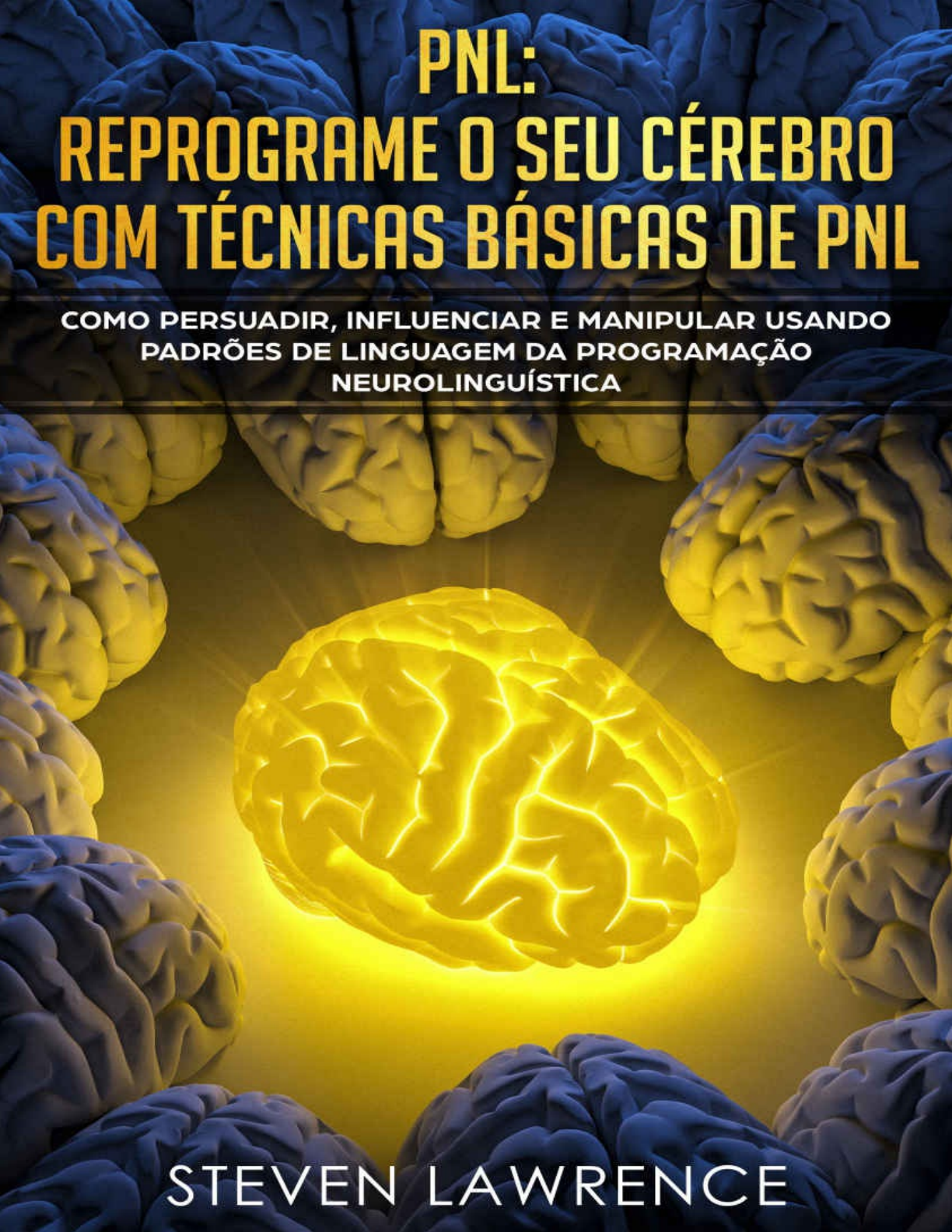 Noções básicas sobre PNL e sobre a sua aplicabilidade