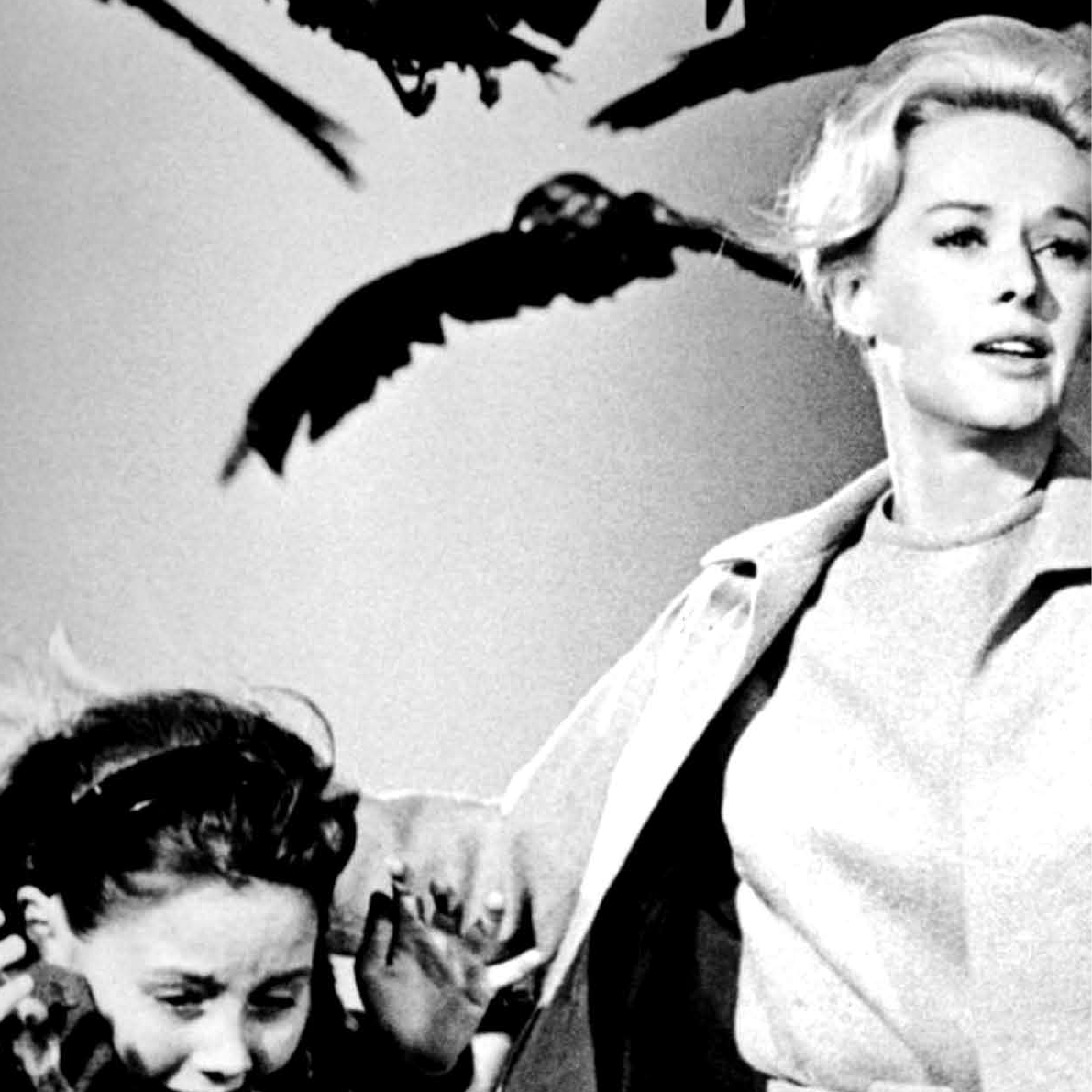 Hitch Cock | PDF | Alfred Hitchcock | Suspense (gênero), image size:1191x1191