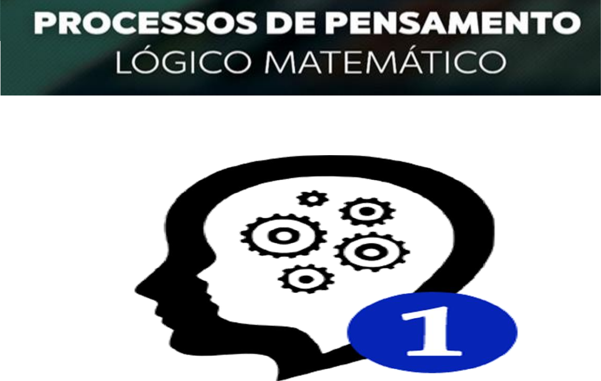 Processos De Pensamento LÓgico MatemÁtico Psicopedagogia